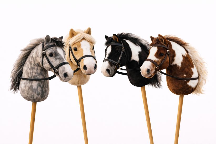 Hobby Horsing Berlin | Kindergeburtstag